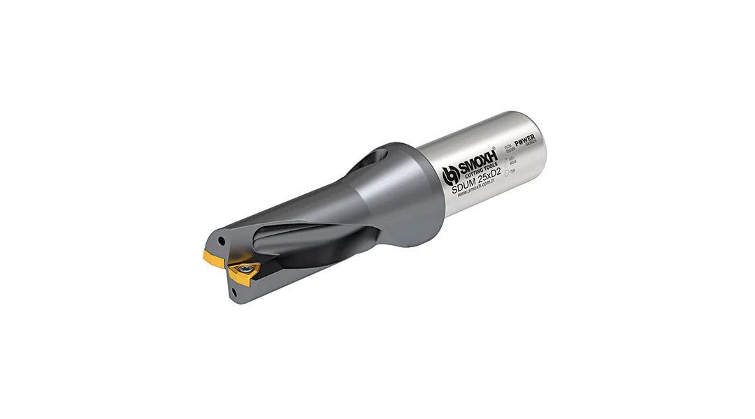 SDUM WCM 030208 D2